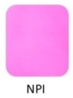 THE LUXE NK GLAM GIRL ACTIVEWEAR & LOUNGE WEAR COLLECTION-BIKER SHORTS-YP3741