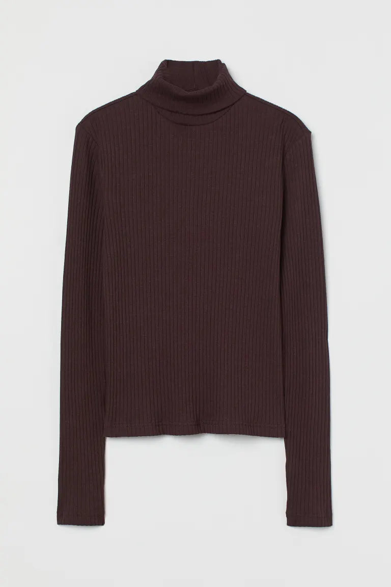 THE LUXE CLASSIC NK FITTED RIBBED TURTLENECK-